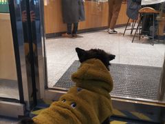 -星巴克(上海长宁来福士1F店)