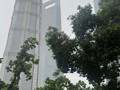 -上海中心大厦