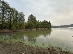 -东湖落雁景区