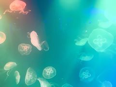 -华夏文旅西安度假区