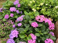 -人民公园(罗湖区)