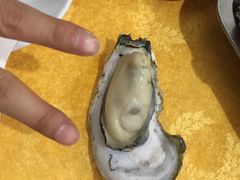-蚝专家(北滘店)