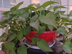 -王府井酒店(金桥港湾店)