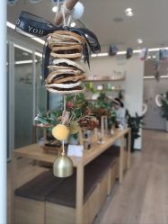 -dōTERRA多特瑞精油生活馆
