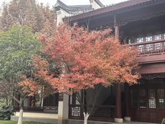 -堤角公园