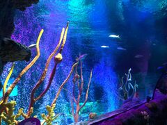 -沈阳海洋探索中心