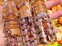 盐水濑尿虾-盛港湾海鲜食府(黄沙店)