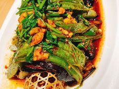 -鸽子窝(黄村店)