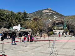 -石老人观光园