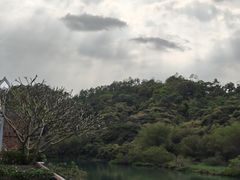 -碧水湾温泉
