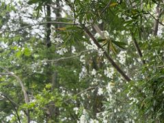 -昆山城市生态森林公园