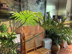 -一坐一忘云南菜(三里屯店)