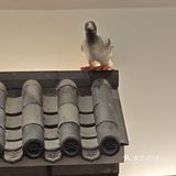 我们也是第一次来到北京就想尝尝北京菜系就在大众点评找到了他家总布胡同这就餐厅满满的老北京风味里边的经理还给我们介绍了很多关于老北京的事物里边的菜品也是非常不错特别是那富贵全家福里边有海参虾仁墨鱼铁棍山药等等全是好东西我们特别喜欢这个菜