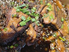 -印象鲵宴·张家界地标美食名片(溪布街店)