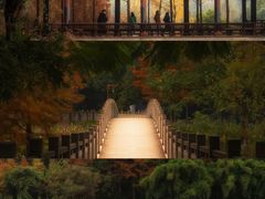 -重庆彩云湖湿地公园