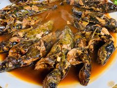 -金台阶鱼馆(于桥水库店)