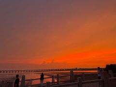 -宝安西湾红树林湿地公园