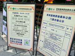 -西双版纳原始森林公园