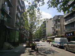 -泡桐树街