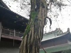 -南华禅寺