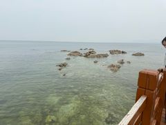 -养马岛旅游度假区