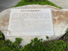 -青岛市江苏路基督教堂