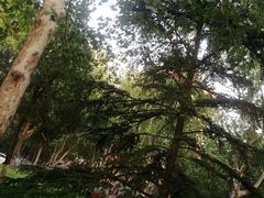 -山东师范大学(千佛山校区)