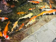 -海合安青岛极地海洋公园