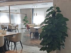 -金熊猫川菜餐厅