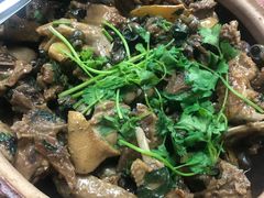 田螺焖鸭-潮记农庄