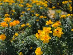 -金石唐风国际温泉会馆