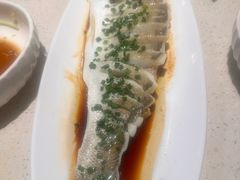一卤鲜鲈鱼-船歌·鱼水饺青岛菜(金狮广场店)