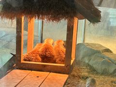 -祥源·阜阳生态乐园