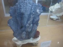 -南京金牛湖风景区