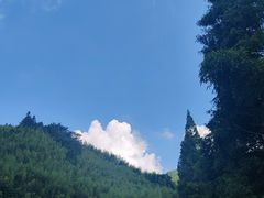 -莫干山风景区
