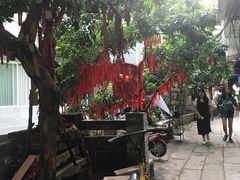 -小洲村