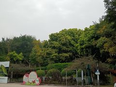-重庆平顶山公园
