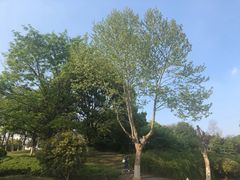 -河海大学(江宁校区)