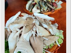 -菌海森林·非遗野生菌火锅(西山区滇池路摩根道店)
