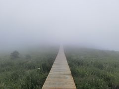 -白草畔自然风景区