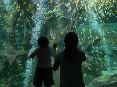-合肥海洋世界