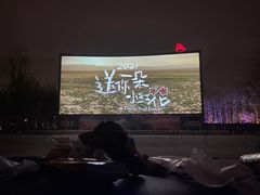 -枫花园汽车电影院(朝阳公园店)