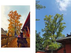 -金堂县云顶石城风景区