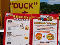 -东南花都花博园