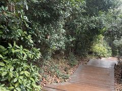 -潜山国家森林公园