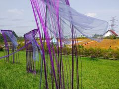 -紫颐香薰山谷景区