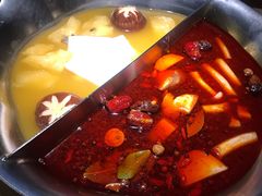 红颜花胶鸡鸳鸯锅-湊湊火锅·茶憩(上海合生汇店)