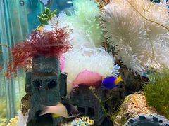 -太平洋海底世界