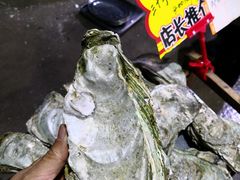 -蚝专家(北滘店)