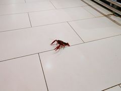 -永辉超市(吾悦广场店)